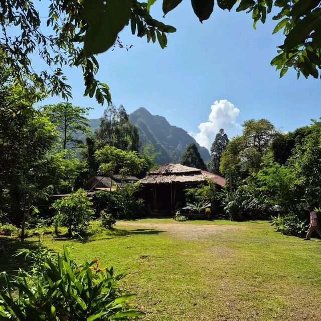 Khao Sok Surat Thani ⛰️
