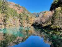 The Kaleidoscope of Five Flower Lake: A Visual Feast in Sichuan