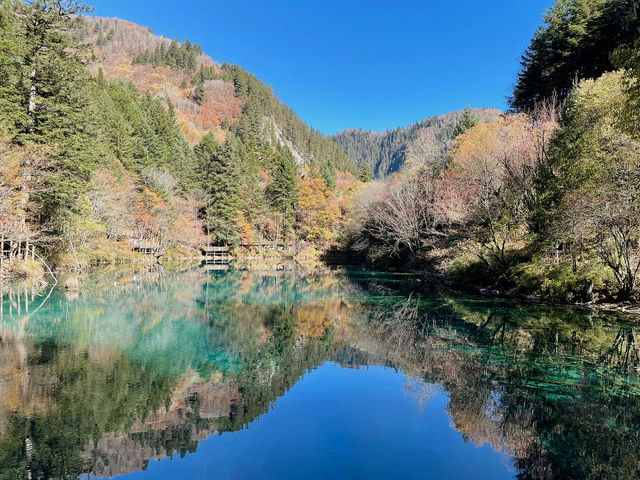 The Kaleidoscope of Five Flower Lake: A Visual Feast in Sichuan