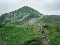 "Tateyama Kurobe Alpine Route" 🏔️