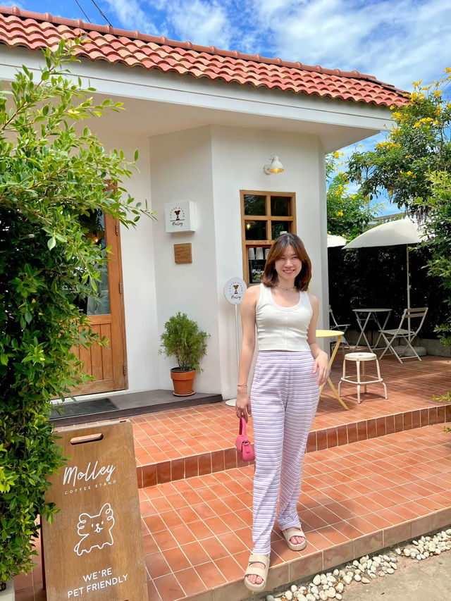 യ Molley Coffee Stand ❋ คาเฟ่ลับในหัวหิน 🌼