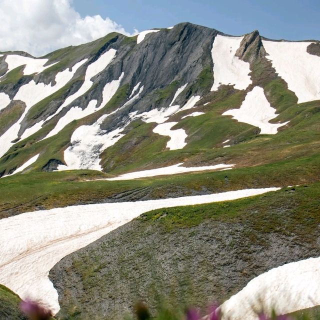 Mount Blanc