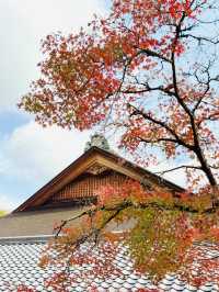 虎溪山永保寺-日式庭園寺廟配搭絕美紅葉，讓人看得如痴如醉