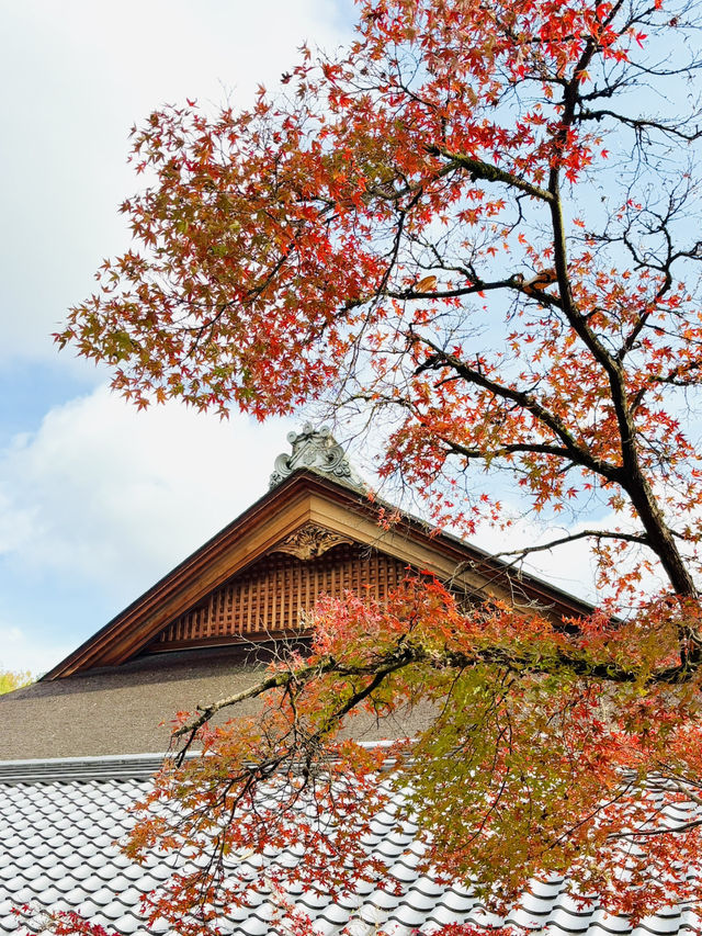 虎溪山永保寺-日式庭園寺廟配搭絕美紅葉，讓人看得如痴如醉