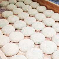 I Come To Nara To See Mochi Experts!