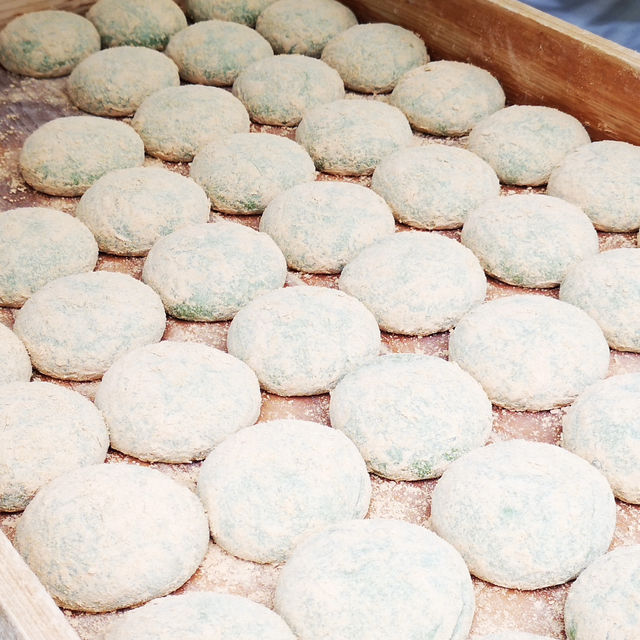 I Come To Nara To See Mochi Experts!