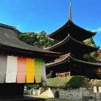 荏原神社：禪意之地🧘‍♀️