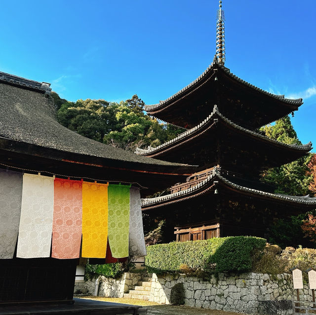 荏原神社：禪意之地🧘‍♀️
