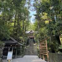 打卡寶登山神社
