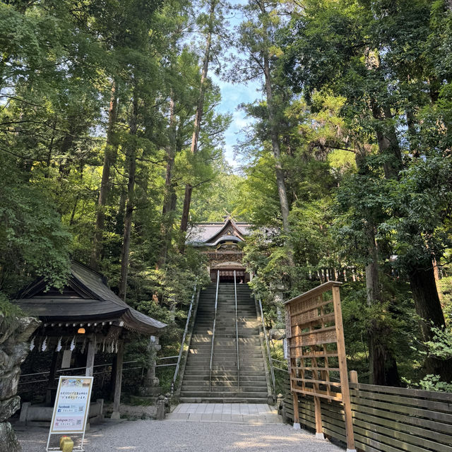 打卡寶登山神社