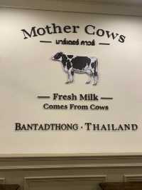 MOTHER COWS