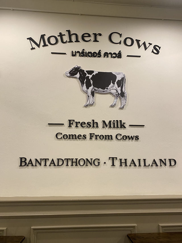 MOTHER COWS