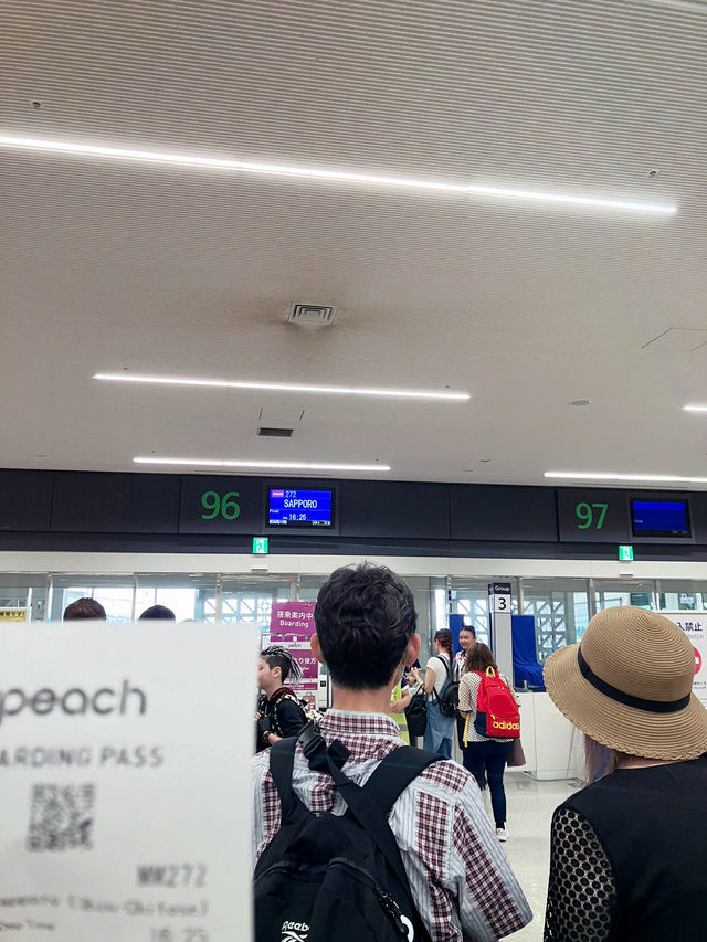 【飛行機】沖縄からPeachの直行便でいく北海道旅