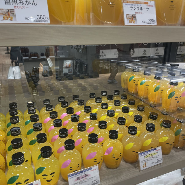 한적하고 예쁜 마쓰야마 소도시갬성❤️