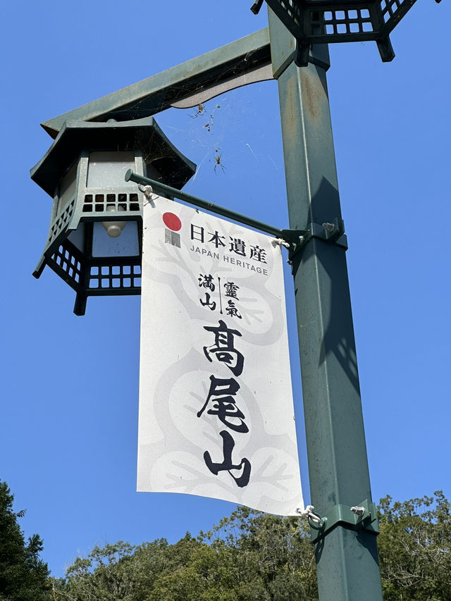 【東京近郊】高美山一日遊🌳玩盡纜車吊車🚡輕鬆登頂