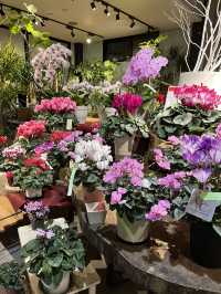 【佐久市🇯🇵】花束お願いするならここ！人情溢れるお花屋さん💐