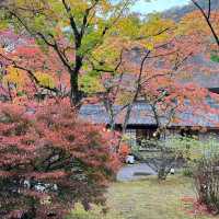 Yufuin oita japan 🍁