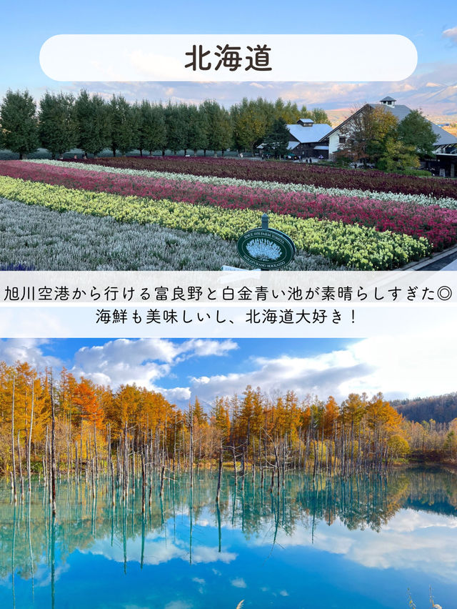 【日本】また訪れたい都道府県7選