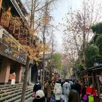 My Chengdu and Jiuzhaigou trip at the end of 2023