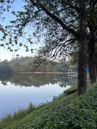 Serene Escape in Dongguan 🪷🌴🌳