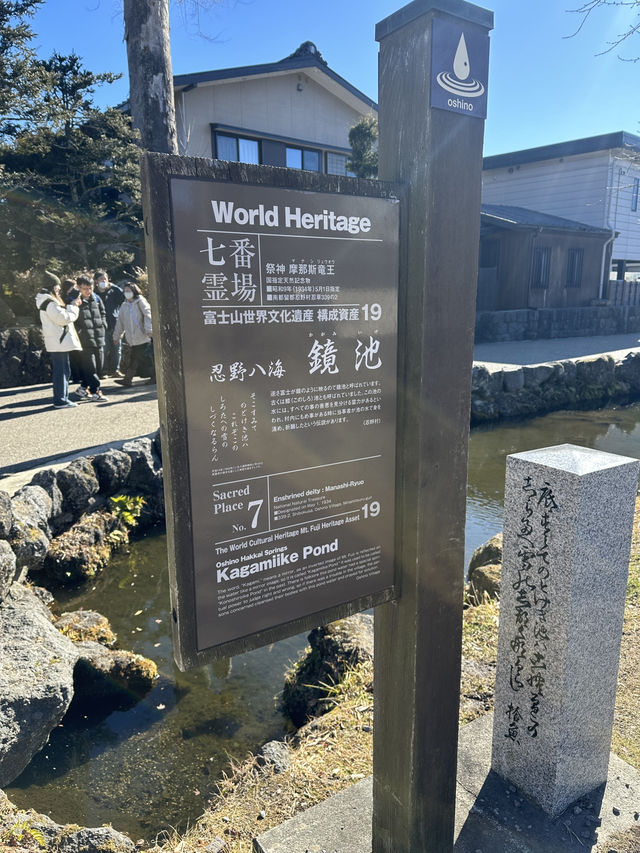 🇯🇵忍野八海｜遊富士山融雪湧泉🏔️