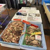 鳥取賀露港魚市場的美食饗宴