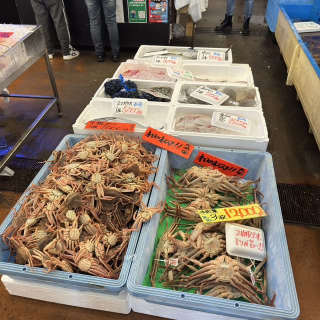 鳥取賀露港魚市場的美食饗宴