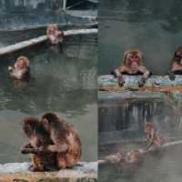 ทริป 3 วัน 2 คืน เมืองฮาโกดาเตะ...ฮอกไกโด
