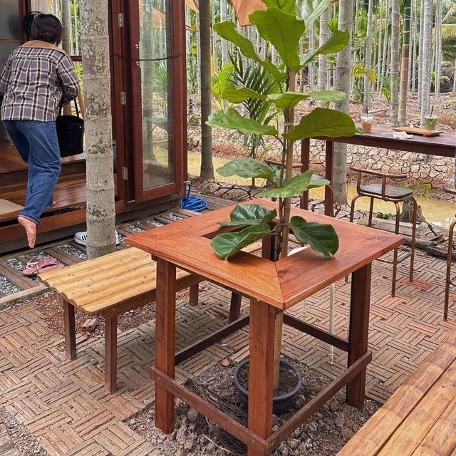 🌳 ฌาณหมาก Coffee & Farm