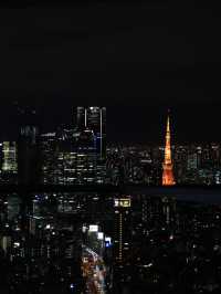 【東京🇯🇵】美しい東京の夜景を🌃