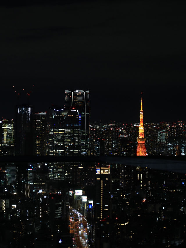 【東京🇯🇵】美しい東京の夜景を🌃