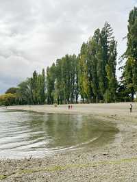 와나카호수의 랜드마크, 와나카 나무(That Wanaka Tree)🌲