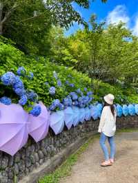 【静岡🇯🇵】今年の梅雨はかわいい傘と紫陽花のお寺へ