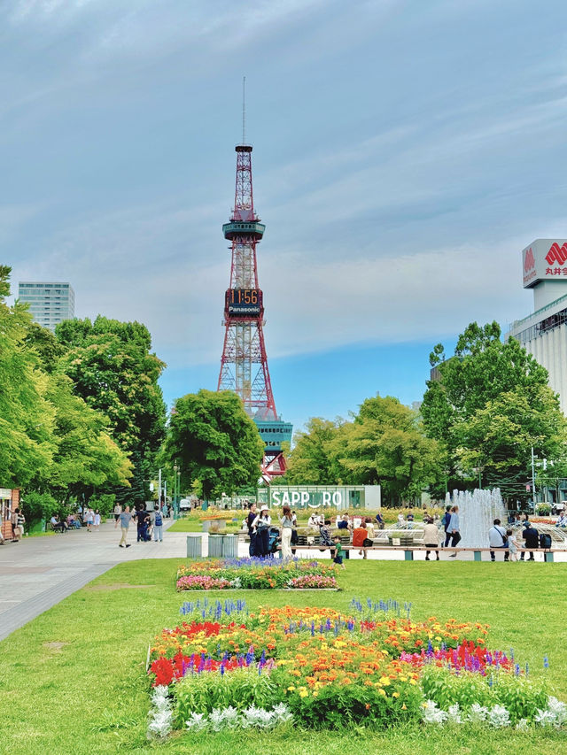 여름 삿포로 3박 4일 여행경비🇯🇵