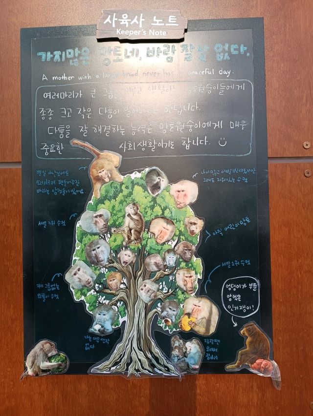 首爾親子遊 - 首爾動物園