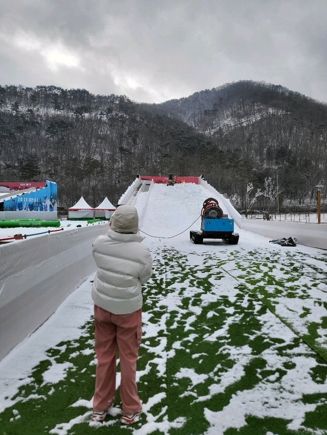 눈썰매장도 개장한 대전 겨울여행지