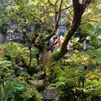 แดนเทวดา คาเฟ่ในม่านหมอก