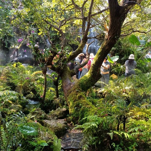 แดนเทวดา คาเฟ่ในม่านหมอก