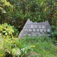 Discovering the Wild Beauty of Wilson Trail Section 9