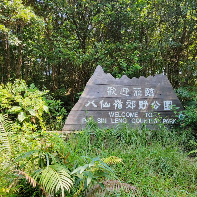 Discovering the Wild Beauty of Wilson Trail Section 9
