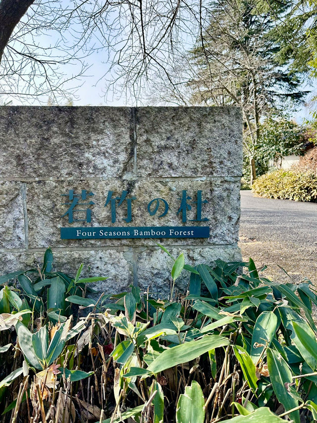 【若竹の杜　若山農場】