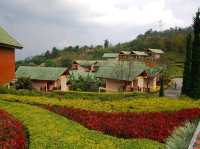 Mae Salong Flower Hills ดอยหมอก ดอกไม้ รีสอร์ท