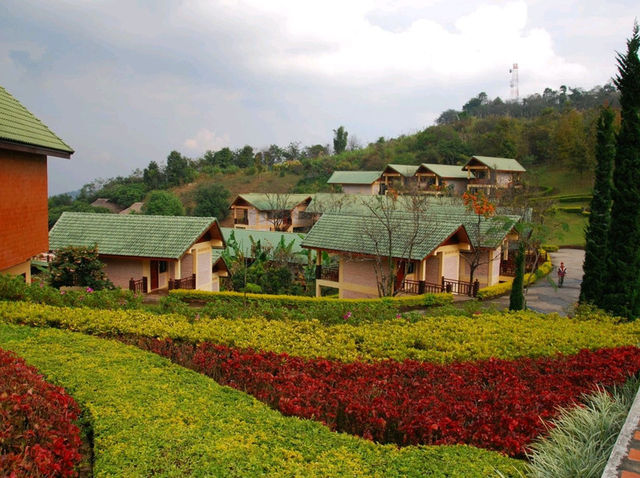 Mae Salong Flower Hills ดอยหมอก ดอกไม้ รีสอร์ท