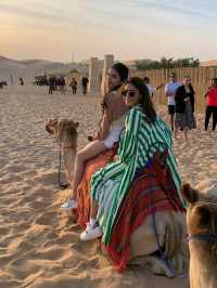 🏜️ Enjoy Abu Dhabi Safari Tour 🌅