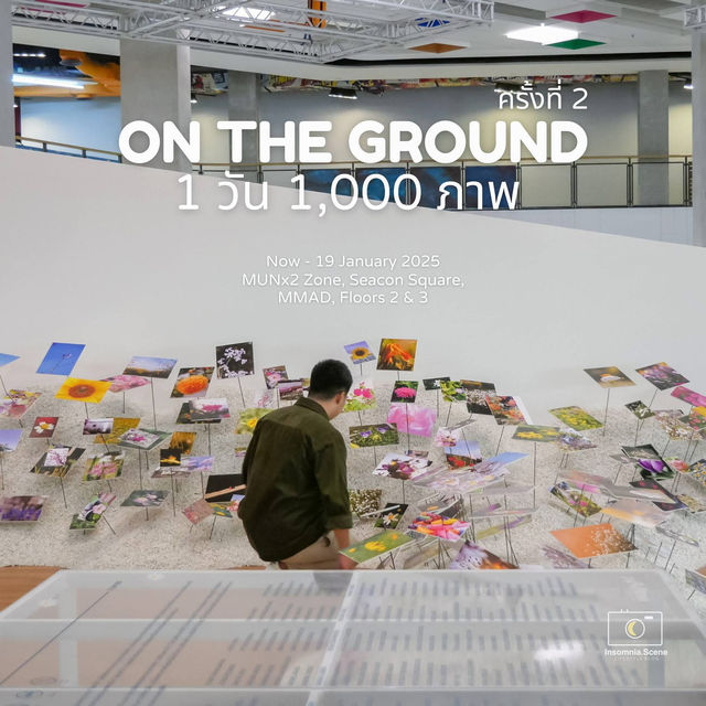 ไปชมดอกไม้ที่งาน ON THE GROUND🌺