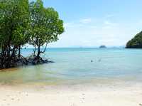 เกาะปลาวาฬ จ.สตูล
