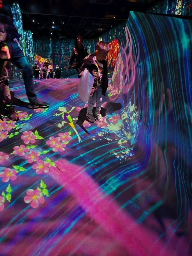 Teamlab Forest Fukuoka 🌳
