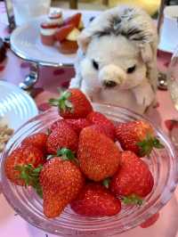 Strawberry Dreams at Brewer's Coffee & Bar🍓
