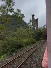 Wulai Scenic Train: A Tranquil Journey Through Lush Mountains and Stunning Landscapes