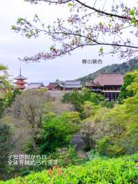 混んでいても行きたい京都の定番【清水寺】